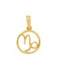 pingente-signo-capricornio-ouro-amarelo-berloque-zodiaco
