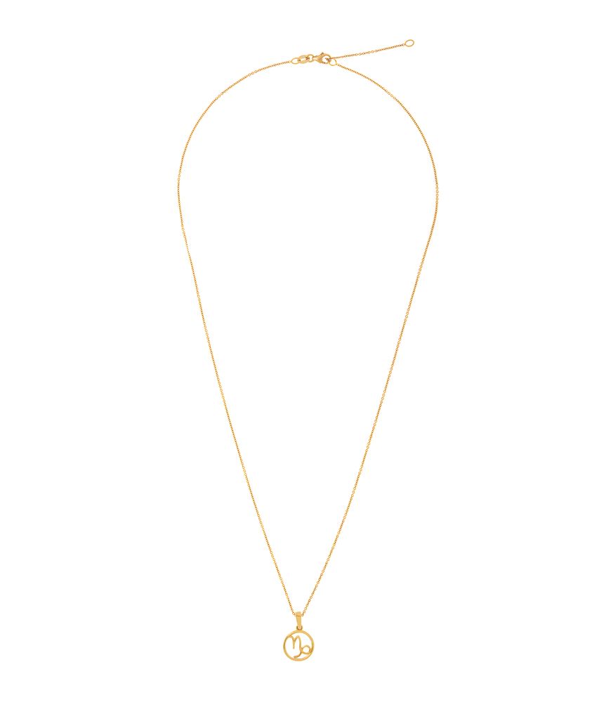 pingente-signo-capricornio-ouro-amarelo-berloque-zodiaco