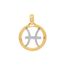 pingente-signo-peixes-ouro-amarelo-berloque-zodiaco