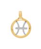 pingente-signo-peixes-ouro-amarelo-berloque-zodiaco