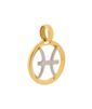 pingente-signo-peixes-ouro-amarelo-berloque-zodiaco
