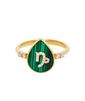 anel-signo-capricornio-de-ouro-com-diamantes-brilhantes-jade