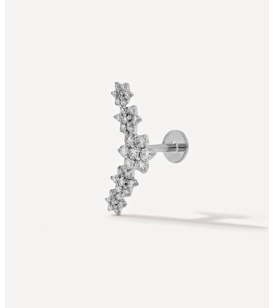 BR101456_1 BR101456_1