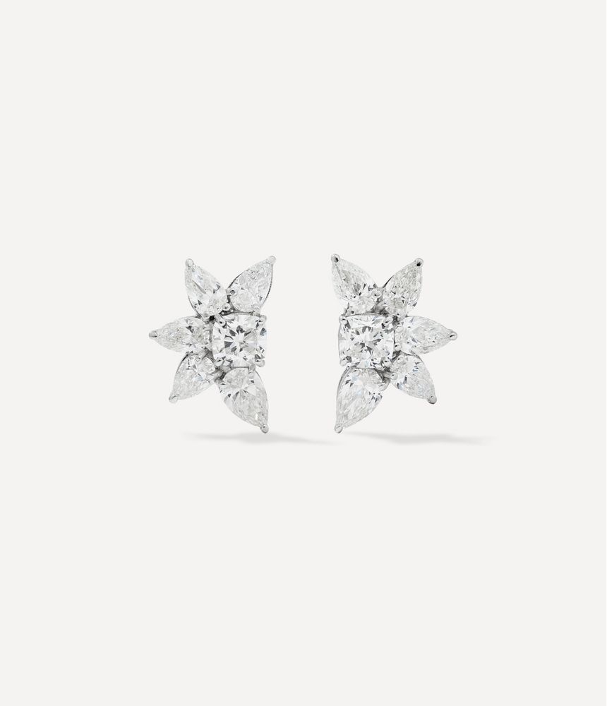 brinco-cluster-BR101671_2