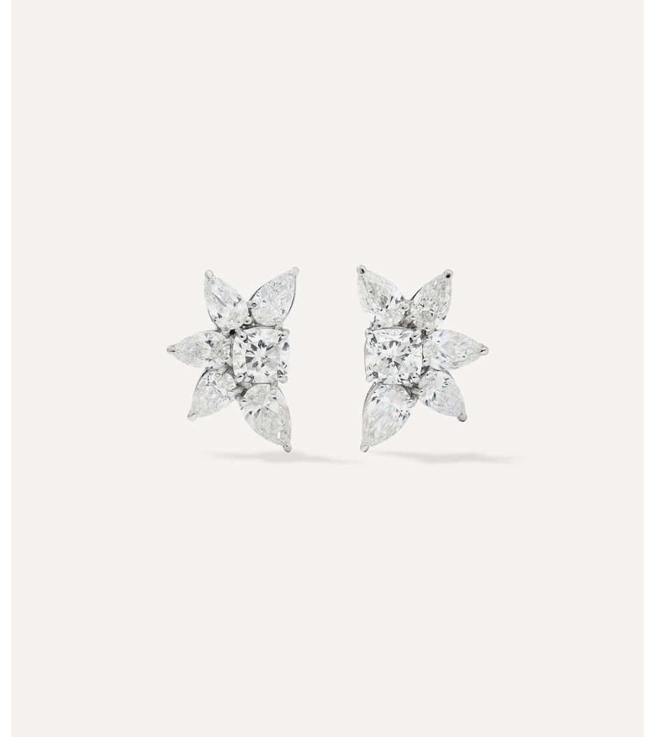 brinco-cluster-BR101671_2