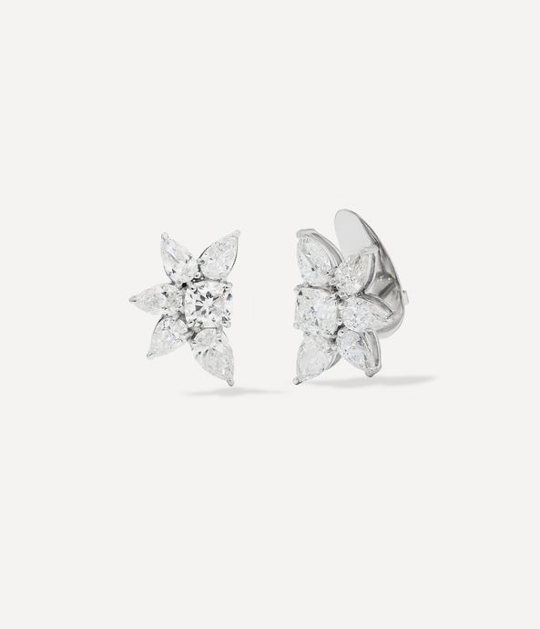 brinco-cluster-BR101671_3