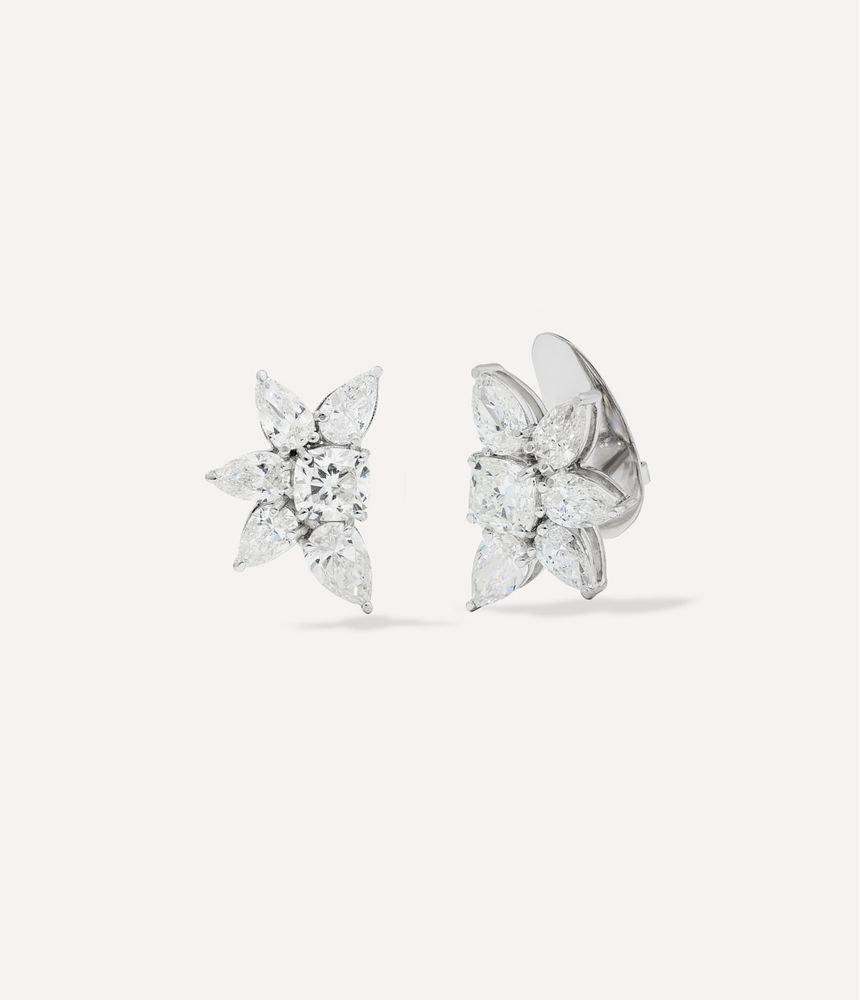 brinco-cluster-BR101671_3