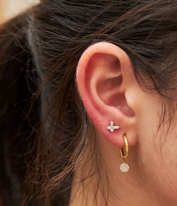 piercing-tarraxa-butterfly-br212704_1