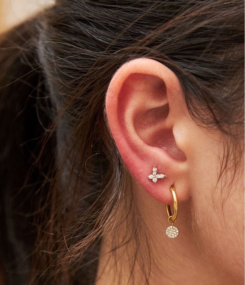 piercing-tarraxa-butterfly-br212704_1
