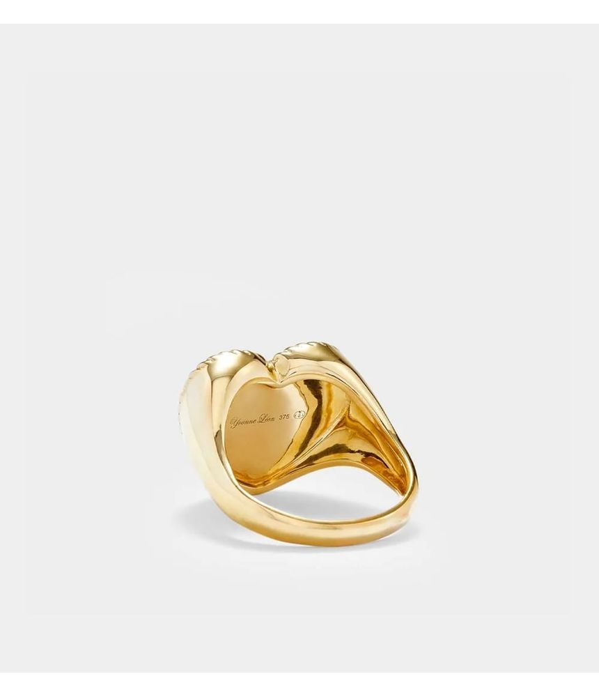 anel2
